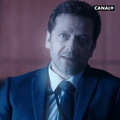 Serie Raymond GIF by CANAL+