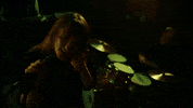The Matrix Singer GIF by Mother Mother
