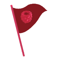 FantaBelgium flag glasses belgium elections Sticker