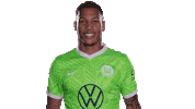 Happy Football Sticker by VfL Wolfsburg