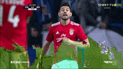 sl benfica football GIF by Sport Lisboa e Benfica