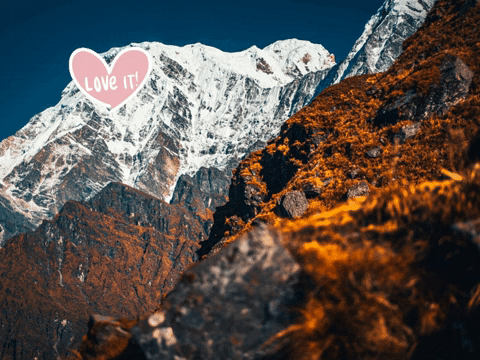 You Can Wow GIF by FranchiseONE.de