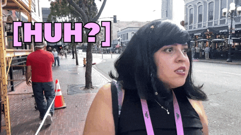 What The Hell Wtf GIF