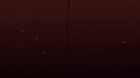 Mtv V GIF by Cartuna