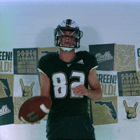 Ncaa Football GIF by USF Athletics