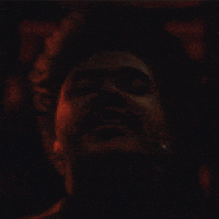 The Weeknd Carti GIF