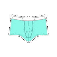 Underwear Sticker by Ven Label