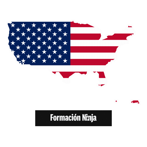 United States Flag Sticker by Formación Ninja