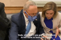 Nancy Pelosi GIF by GIPHY News