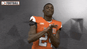 Football Sport GIF by Carson-Newman Athletics
