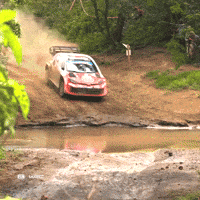 Splashing GIF by FIA World Rally Championship