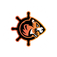 tigerbaybrawlers roller derby cardiff tbb rollerderby Sticker