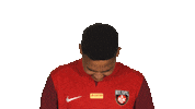 Vbl Look Up Sticker by Bundesliga