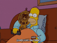 homer simpson GIF