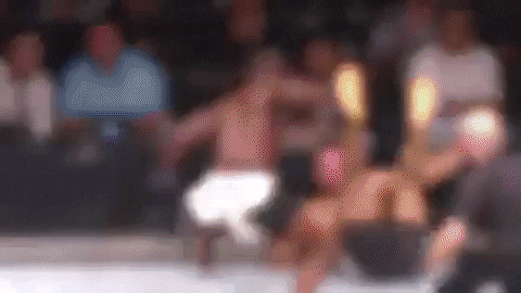 StraightUpSavagery giphygifmaker mma GIF