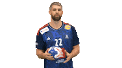 Ffhandball Sticker by Fédération Française de Handball