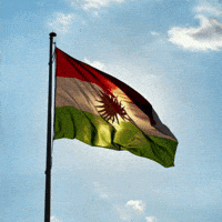 Flag Al GIF