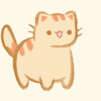 Cin_cook cat meme car orange GIF