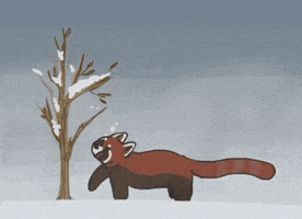 youtube animation GIF by Channel Frederator