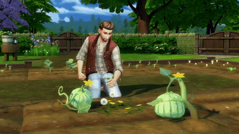 mateusmognon giphygifmaker GIF