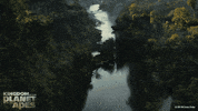 Planet Of The Apes Pota GIF by 20th Century Studios