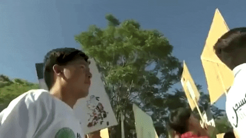 giphydvr protest climate change giphynewsinternational global climate strike GIF