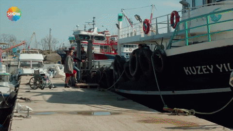 Ask Kuzeyyildizi GIF by Show TV