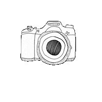 Art Video Sticker by felfalafeny