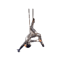 Sparkle Circus Sticker by Ringling Bros. and Barnum & Bailey