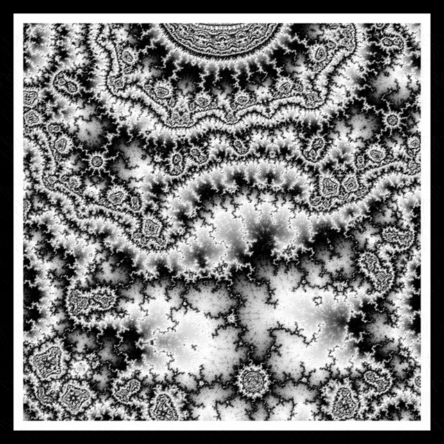 Black And White Loop GIF by xponentialdesign