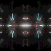 kronogenesis megasoma GIF