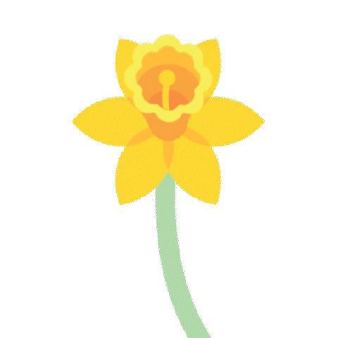 Ccq Sticker by Cancer Council Queensland