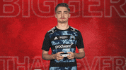 Hamburger Sv Hamburg GIF by Bundesliga