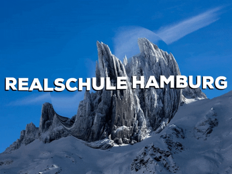Happy Laugh GIF by PrivatschulenPORTAL.de