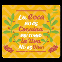 Nasa Coca GIF by CocaNasa