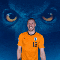 Celebrate Euro Cup GIF by Huuhkajat