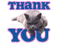 Thank U Sticker by Travis