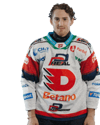 Lukas Sedlak Hockey Sticker by HC Dynamo Pardubice