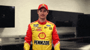 Happy Well Done GIF by Team Penske