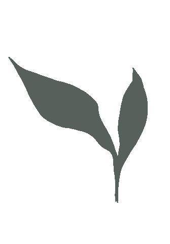 Leaf Sticker