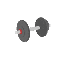dktsingapore fitness fitspo dumbbell decathlonsg Sticker