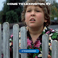 Cmonnn GIF by Lexington, KY