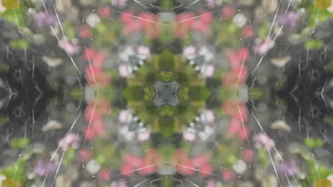 Art Film GIF by jorgemariozuleta