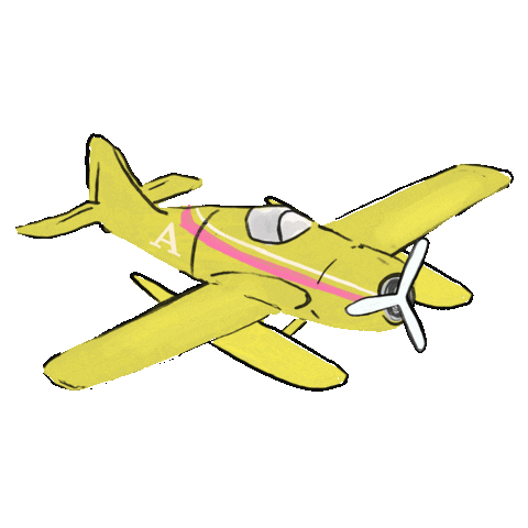 Plane Airplane Sticker by Anthropologie