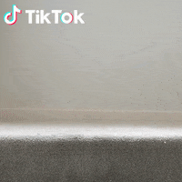 Cane Awww GIF by TikTok Italia
