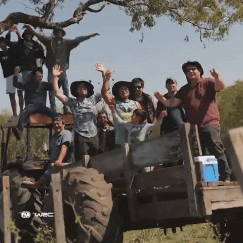 Racing Rallying GIF by FIA World Rally Championship