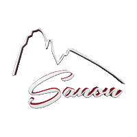 SanonDolomites valgardena kostner seiseralm alpedisiusi Sticker