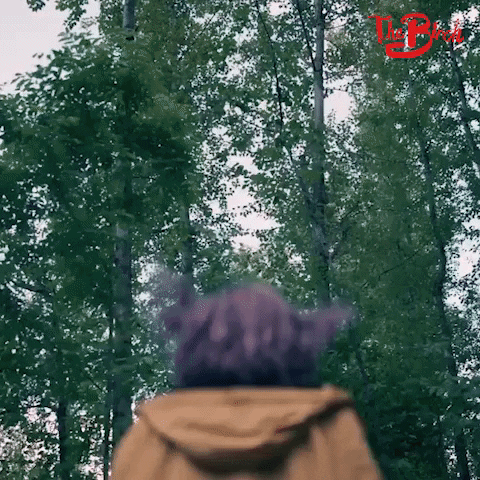Season 1 Facebook Watch GIF by The Birch