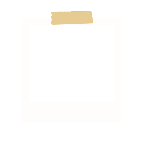 Picture Photo Sticker