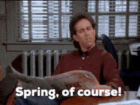 George Costanza Spring GIF